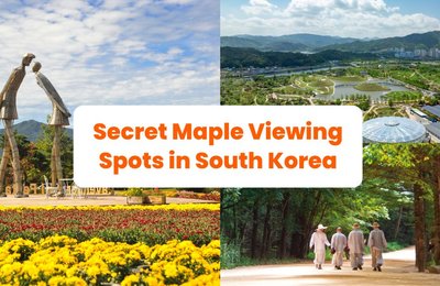 Fall Limited Edition Beauty: 4 Secret Maple Viewing Spots in South Korea You Must Visit