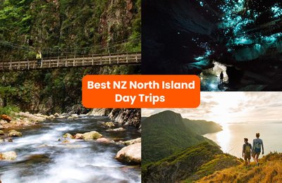 Best Day Trips from Auckland, New Zealand Under 3 Hours: Glowworm Caves, Hidden Beaches, and More!