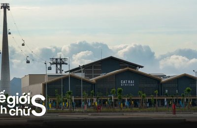 Hướng Dẫn Đi Cáp Treo Sun World Cát Bà Ngắm Trọn Đảo Cát Hải 
