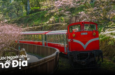 15 Địa Điểm Du Lịch Đài Loan Mùa Xuân Đẹp Nên Thơ