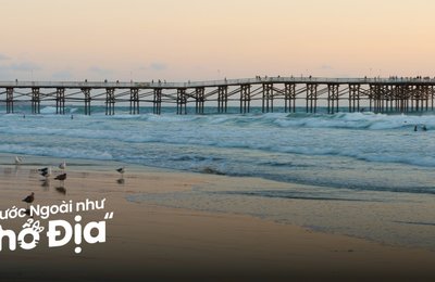 26 Địa Điểm Du Lịch San Diego Kỳ Thú Cho Cả Gia Đình