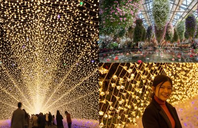 Cara Pergi ke Nabana no Sato: Panduan Lengkap