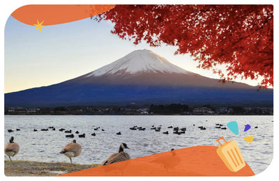 【河口湖交通攻略】東京/成田機場出發!JR、高速巴士、自駕、河口湖周遊巴士詳細解說!