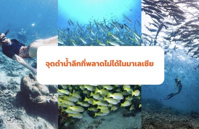 จุดดำน้ำที่ดีที่สุด 12 แห่งในมาเลเซียที่นักดำน้ำพลาดไม่ได้