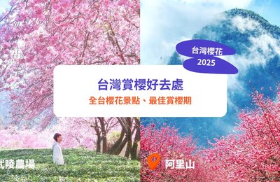 台灣櫻花2025|全台櫻花季+17大賞櫻景點推介!陽明山/阿里山/日月潭櫻花期