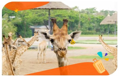 曼谷動物園一日遊》親子必玩4大曼谷動物園推薦，身歷其境動物王國！