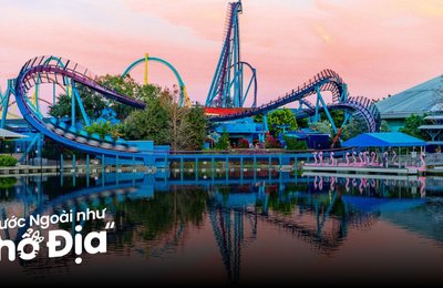 10 Hoạt Động Vui Hết Nấc Tại Công Viên SeaWorld Orlando