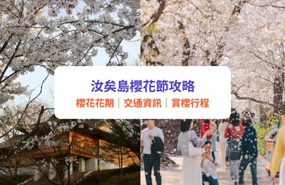汝矣島櫻花節2026|首爾賞櫻必訪-絕美永登浦汝矣島櫻花慶典!附交通、周邊景點、一日遊攻略
