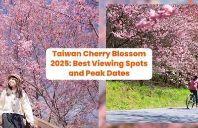 Taiwan Cherry Blossom 2025: 15 Best Viewing Spots and Peak Dates During Taiwan Spring Season