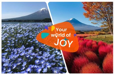 【2026河口湖大石公園】可以看富士山絕美景點,一年四季都可賞花