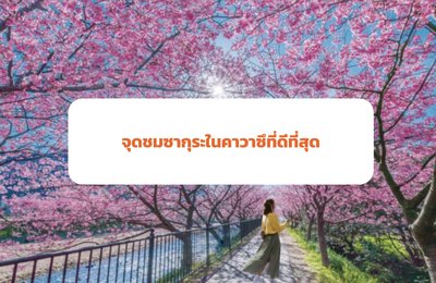 จุดชมซากุระในคาวาซึที่ดีที่สุด