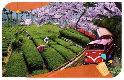 2025阿里山一日遊》森林遊樂區介紹、眠月線申請、景點與住宿推薦！ 