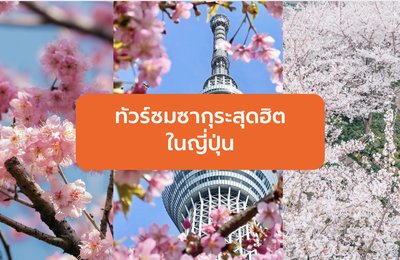 ทัวร์ชมซากุระสุดฮิตในญี่ปุ่น









