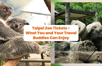 Taipei Zoo Tickets for PHP89 - What You and Your Travel Buddies Can Enjoy