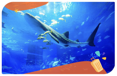 【沖繩美麗海水族館】世界排名第二水族館！一日遊門票交通懶人包