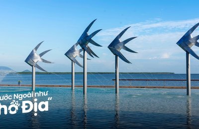 9 Bãi Biển Ở Cairns Đẹp Lung Linh Đốn Tim Du Khách