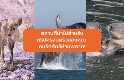 12 สถานที่น่าไปสำหรับทริปครอบครัวของคุณ คนรักสัตว์ห้ามพลาด!