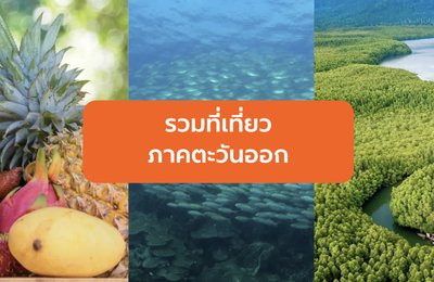 รวมสถานที่ท่องเที่ยวและกิจกรรมฮิตๆ ใน ชลบุรี, ระยอง, จันทบุรี, ตราด