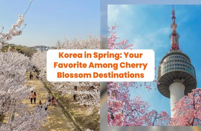 Why Korea in Spring Should Be Your Favorite Among Cherry Blossom Destinations