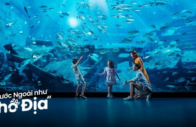 Kinh Nghiệm Đi S.E.A Aquarium Singapore Cho Gia Đình