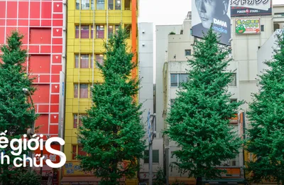 Akihabara Có Gì Chơi? Hướng Dẫn Khám Phá Khu Phố Otaku Nổi Tiếng Nhất Nhật Bản