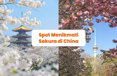 9 Spot Sakura Terbaik di China: Inilah tempat-tempat terbaik untuk menikmati sakura di China!