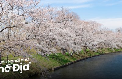 Kinh Nghiệm Du Lịch Ibaraki Tự Túc Cho Team Yêu Nhật Bản