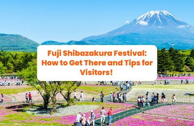 Fuji Shibazakura Festival: How to Get There and Tips for Visitors in 2025!