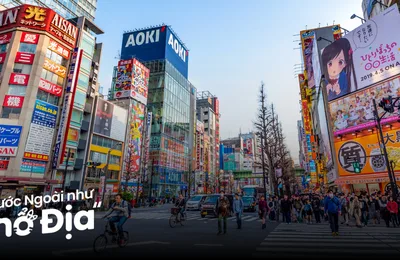 10 Tour Tokyo Siêu Hấp Dẫn Mà Bạn Không Nên Bỏ Lỡ