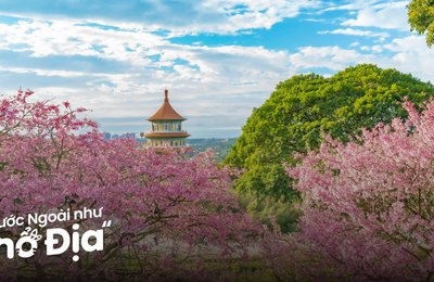 Lịch Trình Du Lịch Đài Loan 4 Ngày 3 Đêm Và Chi Phí Dự Kiến