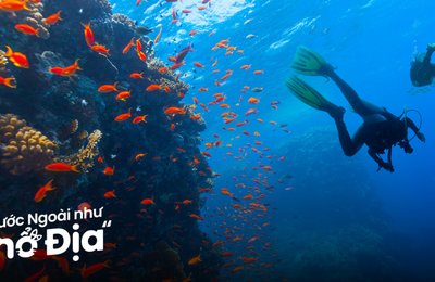 15 Điểm Lặn Biển Scuba Diving Hàng Đầu Châu Á