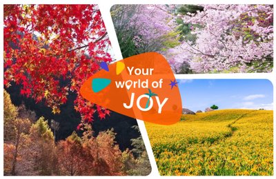 2026台灣花季》全台花季 & 賞花景點總整理！