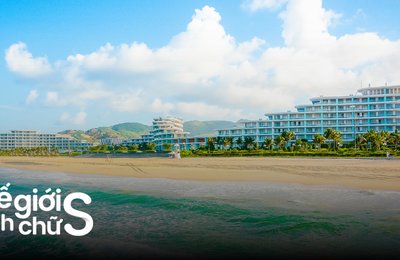 Kinh Nghiệm Du Lịch Quy Nhơn Tự Túc Cho Người Đi Lần Đầu