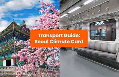 Seoul Climate Card Guide: How to Save on Public Transport in 2025