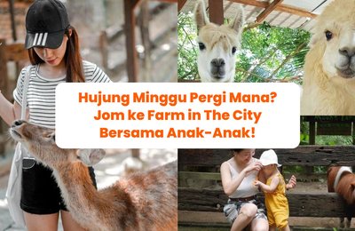 Jom ke Farm in The City di Selangor Bersama Anak-Anak!