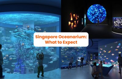 First Look at the New Singapore Oceanarium – Here's What to Expect!