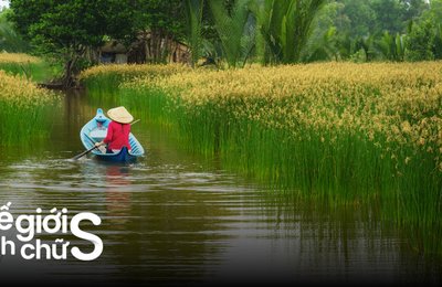 Kinh Nghiệm Du Lịch Cà Mau Cho Team Tự Túc Cập Nhật Mới Nhất