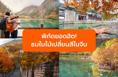 ใบไม้เปลี่ยนสี จีน 2025 เที่ยวปักกิ่ง เซี่ยงไฮ้ เฉิงตู พร้อมพิกัดยอดฮิต!