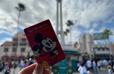 フロリダ ディズニーのチケット購入方法！お得で簡単に日本語で買えるサイトってある？