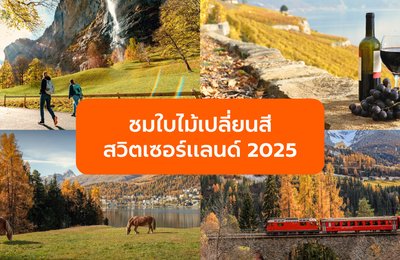 ชมใบไม้เปลี่ยนสีสวิตเซอร์แลนด์ 2025 เส้นทางโรแมนติกและไกด์เที่ยวครบ