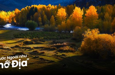 15 Địa Điểm Du Lịch Trung Quốc Mùa Thu Tuyệt Đẹp Đừng Bỏ Lỡ