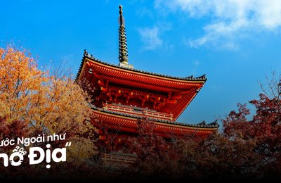 19 Địa Điểm Ngắm Lá Đỏ Nhật Bản Đẹp Tuyệt Vời Cập Nhật Mới