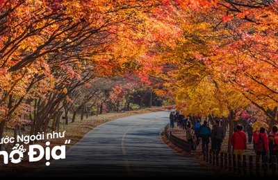 20 Địa Điểm Ngắm Lá Đỏ Hàn Quốc Xinh Đẹp Và Lãng Mạn Nhất