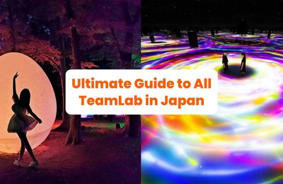 Ultimate Guide to All TeamLab in Japan: Immersive Art Experiences You Can Book on Klook