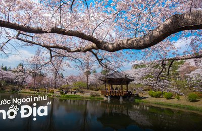 15 Cảnh Đẹp Hàn Quốc Khiến Bạn Chỉ Muốn Xách Vali Lên & Đi