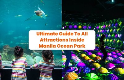Ultimate Guide To All Attractions Inside Manila Ocean Park