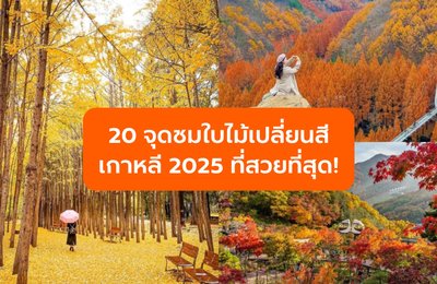 20 จุดชมใบไม้เปลี่ยนสีเกาหลี 2025 ที่สวยที่สุด!