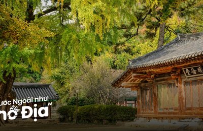 Kinh Nghiệm Du Lịch Hàn Quốc Tự Túc Cập Nhật Mới Nhất