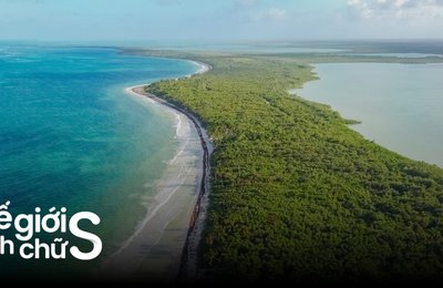 Kể Chuyện Một Ngày Làm “Robinson” Trên Đảo Điệp Sơn