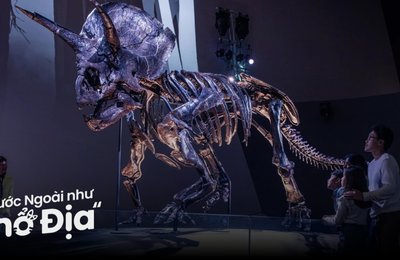 9 Bảo Tàng Hấp Dẫn Nhất Melbourne Bạn Phải Ghé Thăm